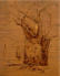 Baobab Study, 2003, Burnt wood, 16" x 12"