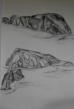 Portrait of Shoe Cove Island, Charcoal on Paper