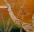 Above and Beyond, 2005, Burnt and carved wood with oil, 24" x 24"