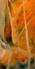 Crossing Paths Series, 2005, Oil on wood, 48" x 24"
